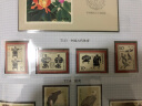 东吴收藏 集邮  T字头邮票 收藏 之五 T113 中国古代体育 实拍图