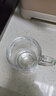 VTyee日式耐热玻璃杯家用泡茶杯带把茶饮杯喝水杯子办公杯子啤酒杯 海特ZB18把杯 380ml 1只 实拍图