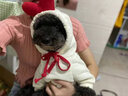 狗狗衣服小中型犬泰迪博美猫咪秋冬新款宠物服饰抓绒卫衣卡通比熊 卫衣大红爱心(抽绳款) M(适合5-8斤) 实拍图