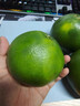 攸竹新鲜青皮葡萄柚子 黄金葡萄柚 爆汁葡萄柚 青皮西柚皮薄多汁肉嫩 10斤 普通装 实拍图