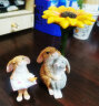真自在新品小兔子摆设客厅花盆摆件田园风格装饰品创意工艺品礼品儿童节送朋友生日礼物 提着篮子的小兔子 实拍图