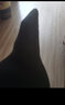 YSOCKS专利防臭袜子男士春夏薄款纯银纤维抗菌棉吸汗耐磨元素中筒四季款 商务中筒（浅灰色6双） 6双 均码 实拍图