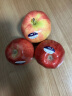 GREENHOW新西兰苹果新鲜水果进口加力果嘎啦果小加丽果 12颗装 实拍图