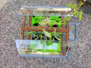 益科星儿童迷你种植玩具阳光房种植玩具小学生科学实验套装阳台迷你园艺 种植阳光房 绿色 实拍图