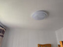 长虹照明led隐形风扇吊灯卧室餐厅鸟巢吊扇灯现代简约灯具灯饰配遥控 白色鸟巢餐厅灯42寸36w三色/遥控 实拍图