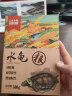 命脉龟粮水龟粮乌龟饲料幼龟粮半水龟饲料巴西龟草龟增色牧草粮乌龟料龟料龟食缓沉上浮稚龟开口粮石龟粮 水龟粮300g 实拍图