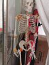 170cm人体骨骼模型医用一比一彩色脊柱全身骨架模型附神经带软肋骨骨骼标本可拆卸骷髅教学模具 180cm肌肉起止点带神经附韧带 晒单实拍图