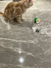憨憨乐园宠物用品猫咪玩具幼猫飞舞蝴蝶逗猫棒猫玩具电动小鸟鲜花宠物玩具 实拍图
