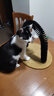 猫玩具 逗猫棒激光笔猫抓板猫转盘球宠物逗猫咪玩具套装 猫咪蹭毛抓痒器 实拍图