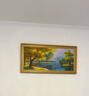 美艺佳天鹅湖纯手绘油画客厅沙发背景墙横幅壁画欧式山水风景手工装饰画 简欧金框 60*120CM 实拍图
