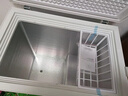 志高小冰柜家用小型一级能效 全冷冻柜冷藏箱商用迷你展示保鲜柜囤货储存母乳小冰箱省电 以旧换新 【一级省电 送货上门】 178L 实拍图