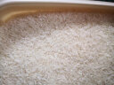 角山 美味多10斤 长粒香大米 2023新米 南方丝苗米 晚稻米 细米 5kg 5kg 晒单实拍图