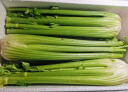 美邻惠享家新鲜西芹5斤装去叶大棵芹菜榨汁专用山东时令蔬菜香芹源头直发 草绿色 西芹5斤装普通快递 实拍图