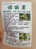 养生茶诺丽果干片云南海南西双版纳特产晒干原产酵 诺丽果精选120g 实拍图