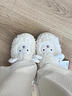 邦帛世棉拖鞋女士秋冬季加绒保暖2025年新款居家外穿羊羔毛绒毛毛鞋棉鞋 【白色小绵羊】 36-37 (适合35-36脚穿) 实拍图
