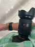 索尼（SONY） ILCE-7RM5 全画幅微单数码相机 双影像画质旗舰 （ILCE-7RM5/A7R5/A7RM5）打鸟 FE24-70GM 套装 官方标配 实拍图