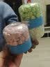 巧莱宝溶豆24克 双拼高钙溶溶豆多口味溶豆豆入口即化速溶小零食 菠菜味+原味 实拍图