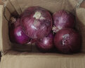 中鲜生 云南紫皮洋葱现挖红皮洋葱新鲜蔬菜生鲜当季新鲜洋葱 3斤装【普通装】 实拍图