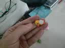 点越汽车饰品摆件后视镜电动车上小摆件女司机中控台装饰网红车载用品 可爱一家【6个装】-配无痕胶 实拍图