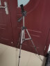 伟峰（WEIFENG）WT-3111 便携三脚架 照相机三角架 微单手机拍照直播支架 投影仪支架 实拍图