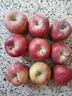 生活＆好管家洛川苹果红富士苹果25年新果 陕西延安特产时令生鲜水果礼盒 净重8.5斤单果280g+ 实拍图