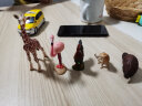 思乐动物模型仿真动物世界玩具 长颈鹿狮子大象玩具男孩 礼盒套装农场动物 野生动物套装42388 晒单实拍图