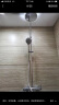 丰华（FLOVA） 淋浴套装家用淋浴器淋雨喷头挂墙式明装混水阀一体式冷热水 187mm全铜顶喷 实拍图