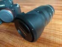 索尼（SONY）ILCE-7M4/A7M4全画幅微单数码相机专业级a74 α7IV 单机身+70-200F2.8二代 官方标配 实拍图