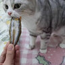 雅礼颂宠物猫咪零食多春鱼淡水满籽小鱼虾冻干幼猫磨牙营养增肥 【满籽款约20~30条】100g 实拍图