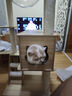 唐米吉吉加粗大型猫爬架猫窝猫树一体太空舱猫架子小户型不占地剑麻猫玩具 【冲量钜惠】124cm 6层跳台木屋 实拍图