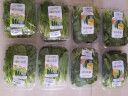 小汤山 小白菜 250g 基地直供新鲜蔬菜GAP认证 实拍图