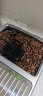 ILLY意利（illy）咖啡豆（中度烘焙）阿拉比卡意式黑咖啡 罐装250g 实拍图