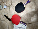 红双喜乒乓球拍专业级成人双拍横拍小学生初学者儿童乒乓球拍子成品拍 紫柄初学双拍【横拍+横拍】 实拍图