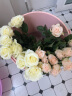 花点时间（Reflower）鲜花玫瑰花束云南昆明基地直发百合向日葵送女友生日礼物 【升级】玫瑰20枝-颜色随机 实拍图