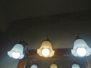 FSL佛山照明LED尖泡水晶灯泡节能灯泡5.5W小口E14白光6500K晶亮5只装 实拍图