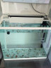 森森（SUNSUN）鱼缸水族箱桌面生态金鱼缸玻璃迷你小型客厅懒人免换水家用缸 (高清玻璃)白色 60cm长 (带20件套) 实拍图