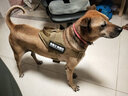 出众者狗狗牵引绳马犬胸背带大型犬狗绳背心式狗背带法斗金毛狗狗用品 背带+1.3米狗绳/迷彩 S码（推荐体重20-35斤） 实拍图