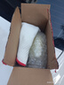 欧司朗刹车灯汽车后尾灯灯泡适配 【2只】 大众全新朗逸(15至17款) 实拍图