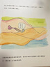 我从哪里来(精装）儿童性教育绘本7到10岁小学生科普科学书籍 实拍图