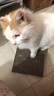 猫玩具 逗猫棒激光笔猫抓板猫转盘球宠物逗猫咪玩具套装 P型猫抓板 实拍图