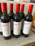 奔富（Penfolds）Bin系列 干红葡萄酒澳大利亚进口750ml 奔富389 Bin389 6支整箱装 晒单实拍图