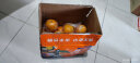 臻瀚伯农江西脐橙手剥橙当季时令水果甜赣州脐橙当季橙子 4.5斤装（单果130-150g）标准果 实拍图
