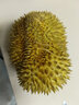 采缇（CAITI）正宗泰国金枕头榴莲新鲜榴莲水果巴掌榴莲盲盒整个当季鲜果  2-3斤榴莲(一天一百个) 实拍图