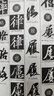 苏轼书法字典 实拍图