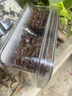 濠润坊猪肉脯澳门特产手信蜜汁黑椒香辣厚切肉脯特产休闲零食小吃 濠润坊猪肉脯黑椒味220g*1盒 实拍图