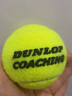 登路普网球ING50%含毛量耐打专业训练使用教练发球机用球行货高级训练球 D coahing 60粒  实拍图