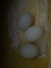 白荡里 鸭蛋 土鸭蛋56g/枚 新鲜鸭蛋农家散养生鸭蛋现捡现发新鲜到家 新鲜土鸭蛋（均重）56g*40枚 实拍图