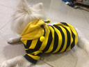 嬉皮狗春秋狗狗小蜜蜂衣服泰迪约克夏小型幼犬可爱带帽包肚衣雨衣家居服 春款#黄黑小蜜蜂卫衣 XL(建议体重11-15斤) 实拍图