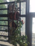 安尔雅 花架 阳台装饰多层家用置物架户外铁艺花架子客厅绿萝多肉花盆架 黑色半圆80cm 实拍图