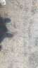 特步（XTEP）【国潮】减震旋跑鞋男秋冬新款透气回弹鞋子977219110003 黑/兰紫色 41 晒单实拍图